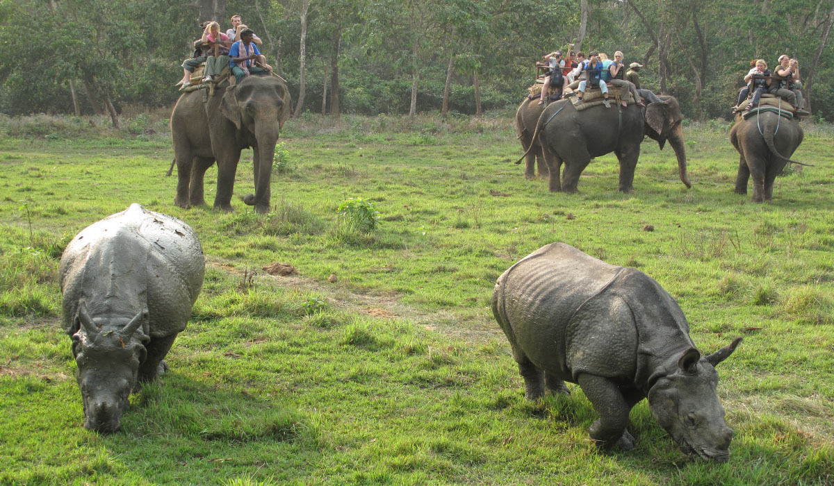Chitwan-National-Park-Tour..jpg