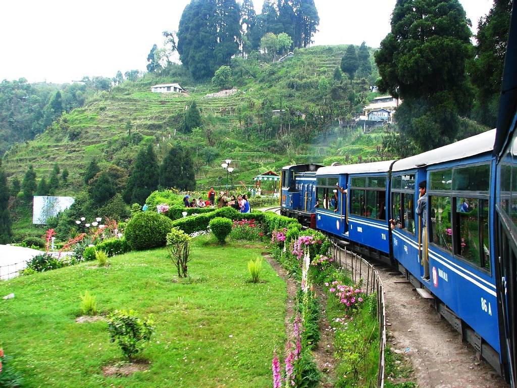 Darjeeling-2.jpg